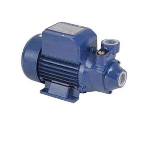 Electric Pedrollo 0.5hp Booster Water Pump