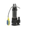 2hp Sewage Pump